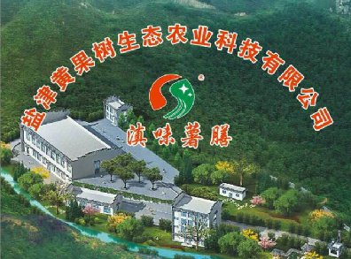 盐津黄果树生态农业科技有限公司